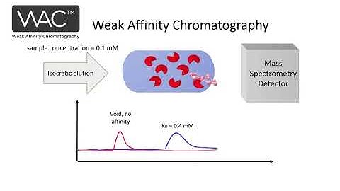 Introduction to Weak Affinity Chromatography