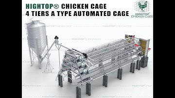 HIGHTOP 4 Tiers A type Automatic Cage 3D Video