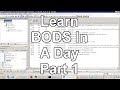 Learn BODS in a Day Part 1