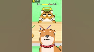 Hide and Seek: Cat Escape! 👀🐱 364 Level Gameplay Walkthrough | Best Android, iOS Games #shorts