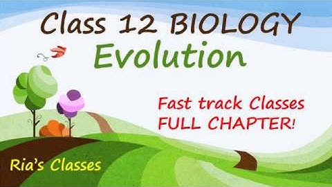CLASS 12 BIOLOGY -XAM IDEA- Evolution, Fast track classes!  Quick Coverage