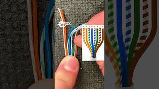 The FASTEST Way to Fit RJ45 Connectors 🤔