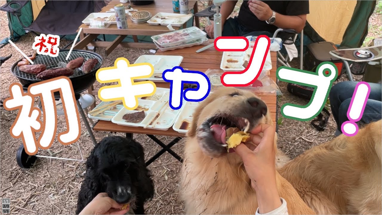 【多大な被害ｗ】美味しすぎるキャンプご飯にヨダレ警報発令してます！