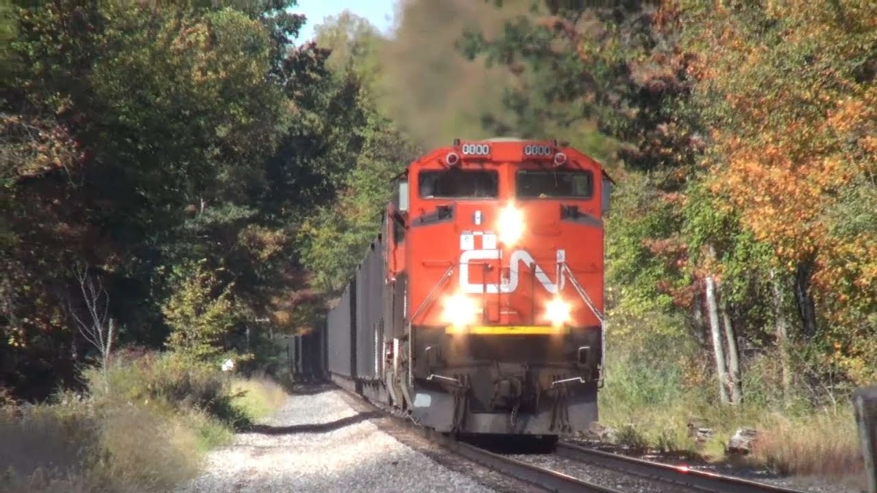 Bessemer and Lake Erie Iron Ore train. Southbound. West Springfield PA - 215. October 11, 2025.