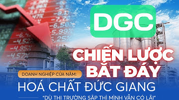 Cổ Phiếu DGC - Vấn đề lãnh đạo và CHIẾN LƯỢC BẮT ĐÁY