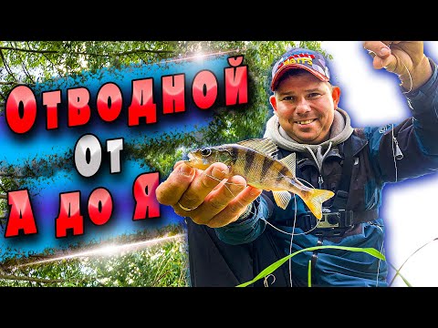 Окунь на Спиннинг | Оснастка Отводной Монтаж | История