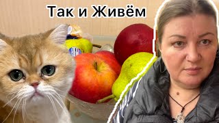 Моя Невестка Ольга. Иду в Гости. Горе-Блогеры))