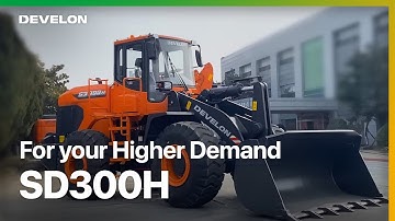 H Stands for Every High Quality: SD300H