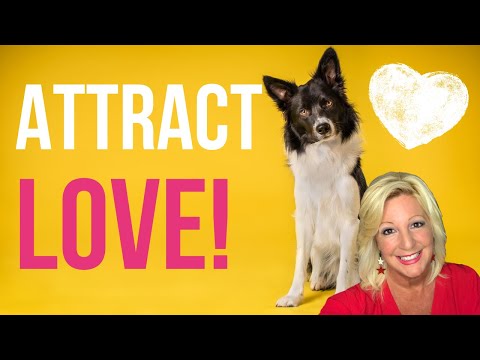 must-love-dogs-|-can-pet-love-help-you-attract-your-soulmate?