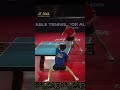 Incredible forehand finisher from Fan Zhendong
