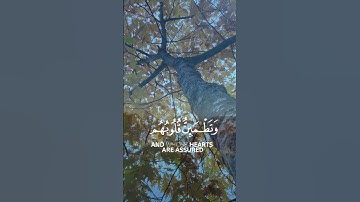 ##سورة #الرعد #الذين #امنوا#وتطمئن#قلوبهم #بذكر #الله