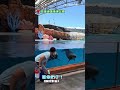【最萌幫手】照護員刷地對海豚下指令 下秒掀波浪 地板清潔溜溜｜海豚｜花蓮｜海洋公園｜刷地｜照護員