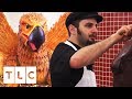 Ralph Is The King When It Comes To Sculptures! | Cake Boss