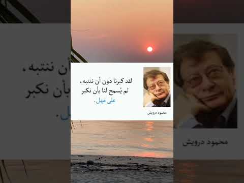 لقد كبرنا بسرعة