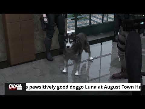Pup-arazzi spots pawsitively good doggo Luna at August Town Hall