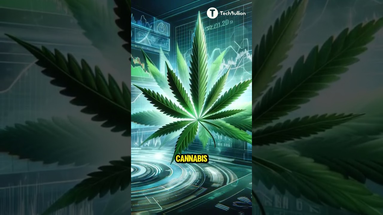 Cannabis stocks surge after Trump endorses cannabidiol for senior healthcare 