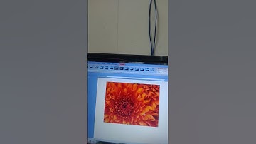How To Crop Picture In Ms Word। Picture Resize। #shorts #viralshort #shortsviral