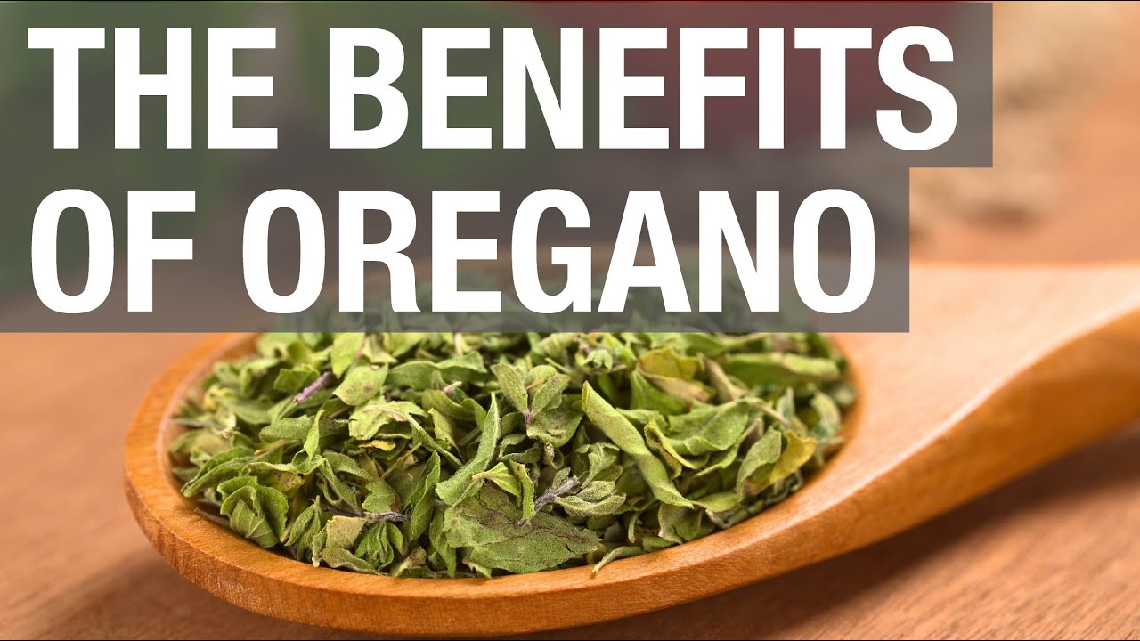 The Benefits of Oregano YouTube