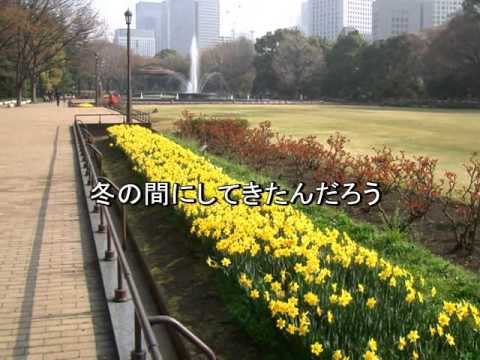 【初音ミク】もうすぐ春が来るよ【オリジナル曲】