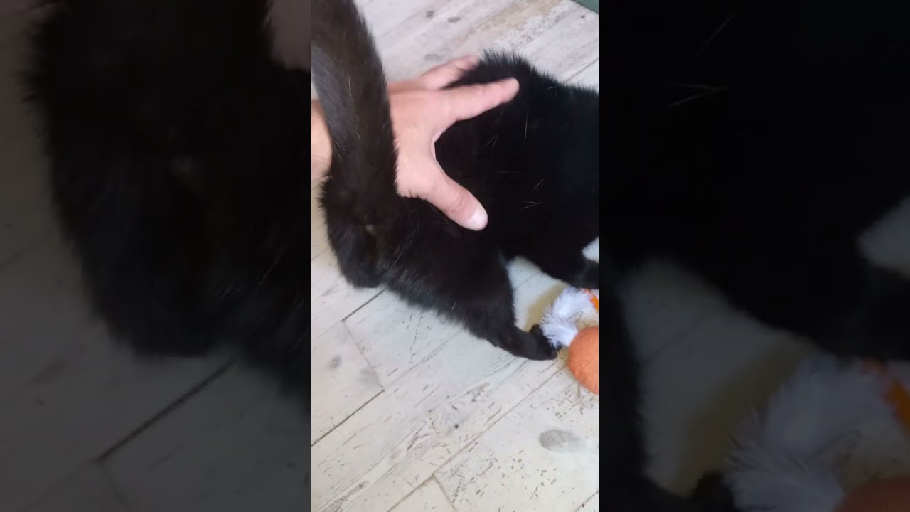 As my washing machine prepares for lift off to Saturn