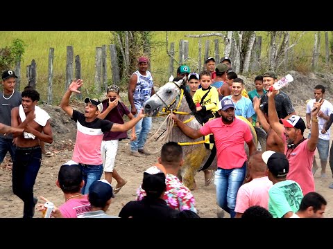 Especial: cavalo Macaco - Trajetória da vitória