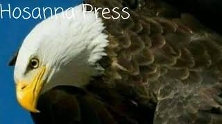 JO DANIEL TSHIMANGA MUKUNZA, MUKUATA KU TSHETU