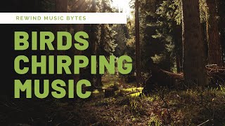 BIRDS CHIRPING MUSIC PARROT MUSIC GIVE MIND REFRESH#birdschirpingmusic#parrotmusic #rewindmusicbytes screenshot 5