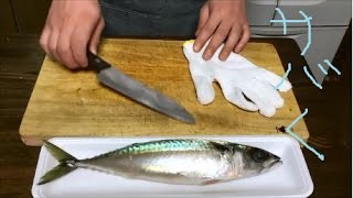 初心者でも簡単に捌ける サバの捌き方 Youtube 初心者でも簡単に捌ける サバの捌き方 Youtube