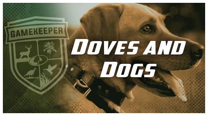 Gamekeepers TV - Episode 4: Doves and Dogs