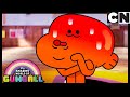 Anlayış  | Gumball Türkçe | Çizgi film | Cartoon Network Türkiye