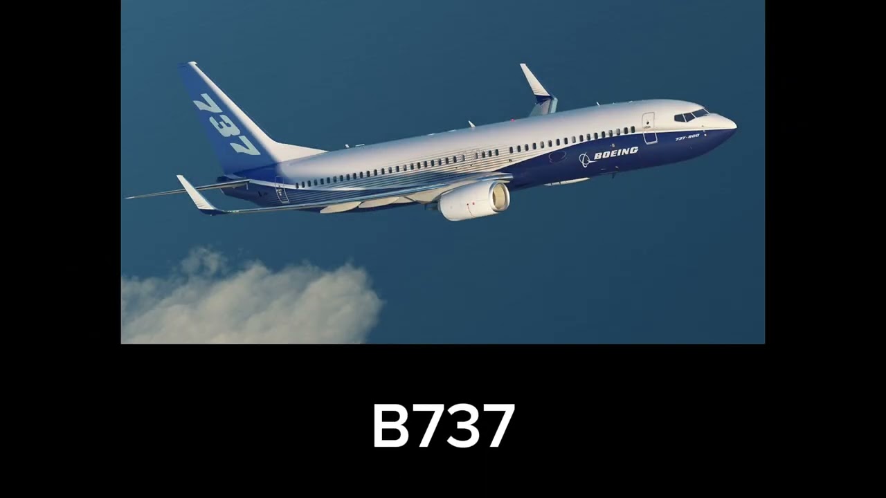 Boeing Stall Alarm B707 - B787