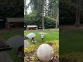 That Ball is Still There😢 #dingersornothing #wiffleball #baseball #shorts