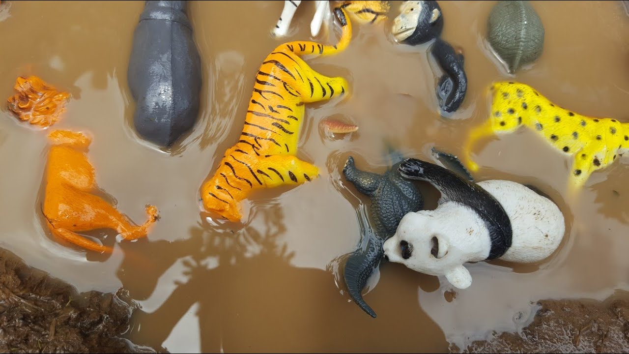 Menemukan banyak mainan hewan hewanan,dino,hewan buas,panda,badak,zebra