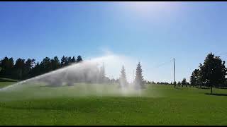 Rain Bird 8005 sprinkleris darbībā