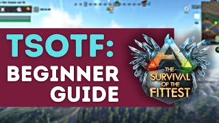 TSOTF: The ultimate Beginners-Guide