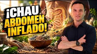 ¿Por Qué tu Abdomen se Inflama al Final del Día? La Solución Está en las Semillas