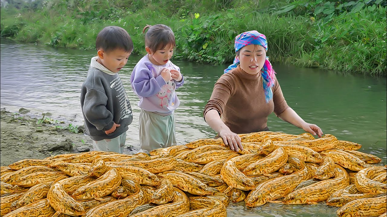 Strange Fish Appears in Familiar River | Chuc Duong Traps and Catches Giant Loach | Village Life