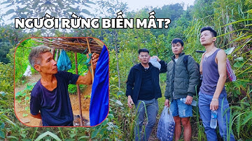 Mang lương thực lên núi cho ‘người rừng’ nhưng ông ấy đã biến mất?