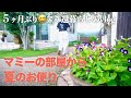 【アラ還専業主婦】お久しぶりです/美肌御膳と夏の一推しグッズ/夫は単身赴任ひとりで過ごす盆休み/シニア犬と暮らす