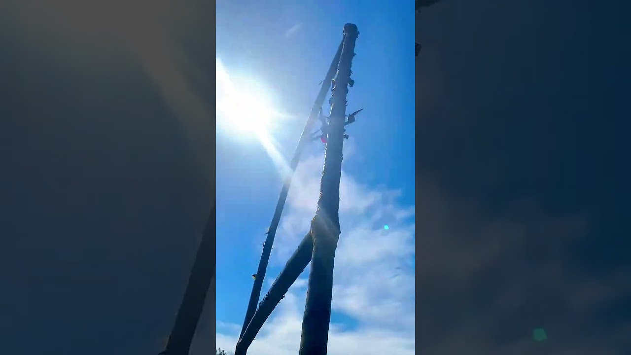 FPV Drone Stuck in Post! 😱 Fix & Fly Again