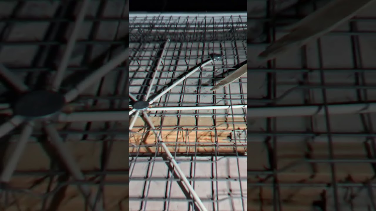 How the Digital Revolution Is Changing Our Humanity