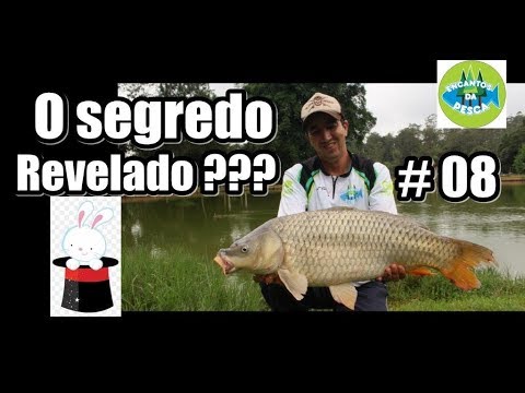 Vídeo: Segredos Da Pesca Da Carpa