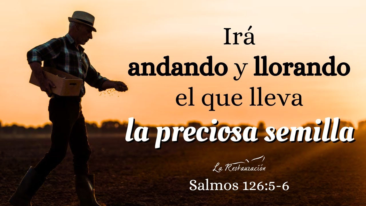 IRÁ ANDANDO Y LLORANDO EL QUE LLEVA LA PRECIOSA SEMILLA l Martes 01/08