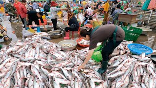 World Largest Wholesale River Fish Market View - Tons of Fish Supplies For City People