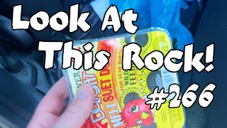 Look At This Rock 266