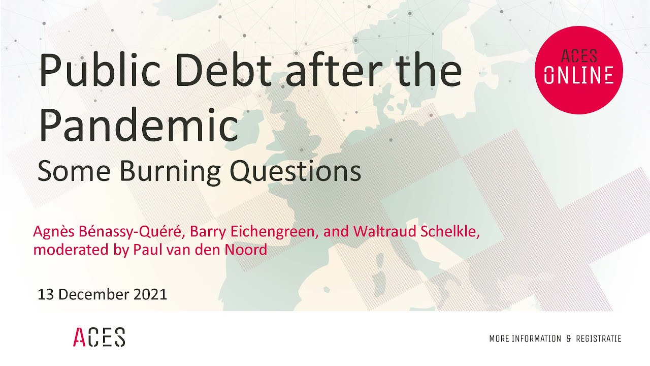 Public debt after the pandemic: some burning questions