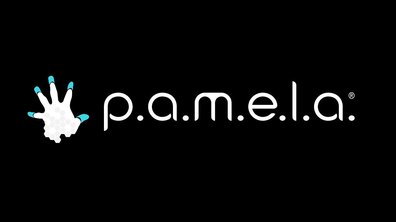 [Giochi alla Van] P.a.m.e.l.a Virus su una navicella spaziale 