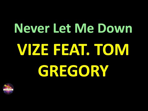VIZE feat. Tom Gregory - Never Let Me Down (Lyrics version)