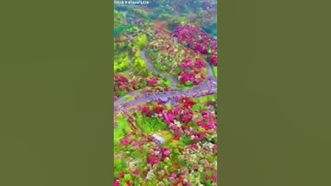 ارح مسمعك قران كريم بصوت القارئ الشيخ خالد الجليل