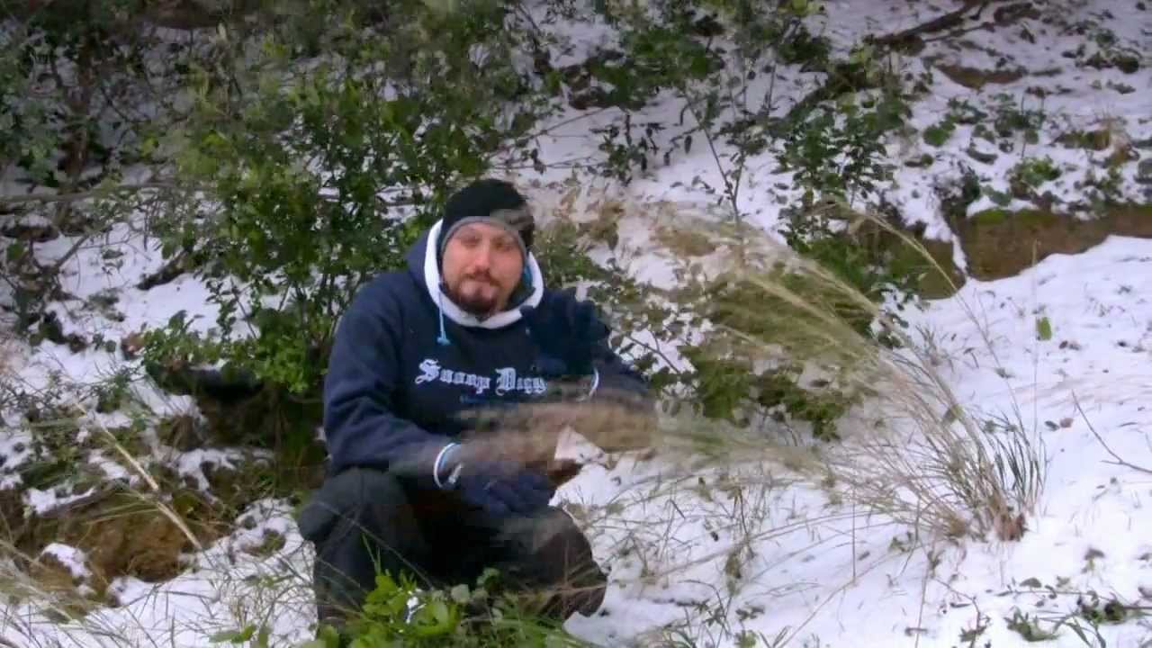 5. Ep. Parodia Wild Oltrenatura 2012 - Bear Grylls - Bern Grill nel Fustacchio Settentrionale